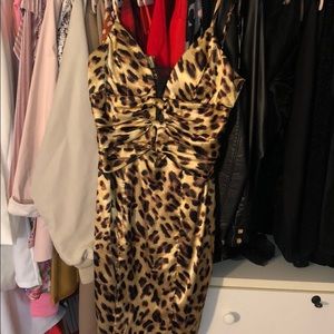 Nwot leopard dress 🐆